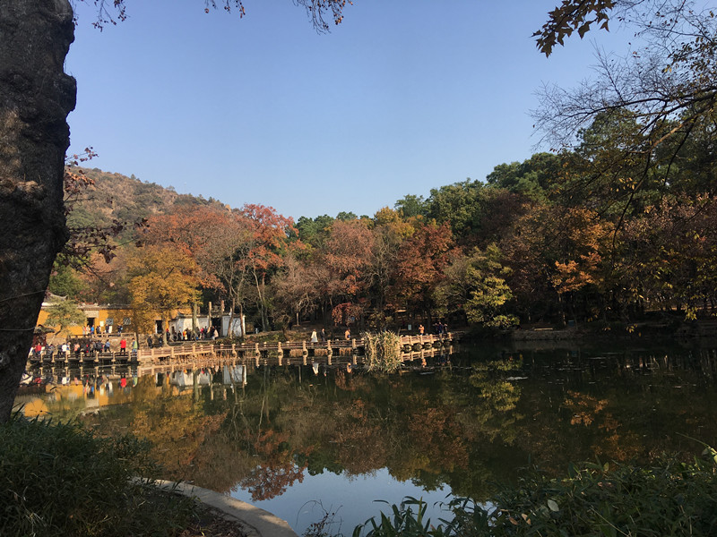 苏州天平山,天平山枫叶,仓储货架